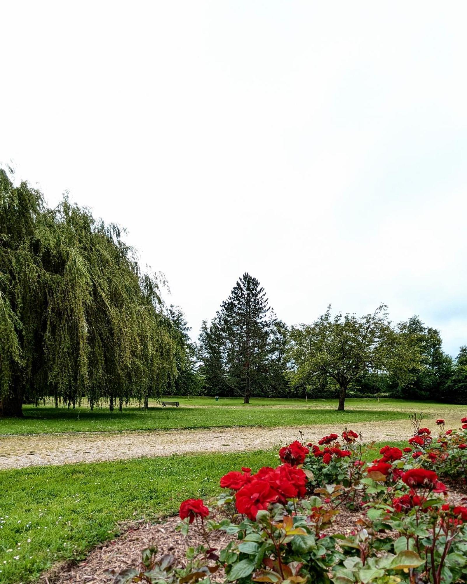 Le Petit Nid, T2 Rez De Jardin Avec Parking - Et Commerces A 15 A Pied